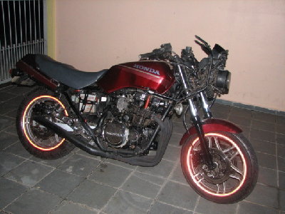 galo 005.jpg